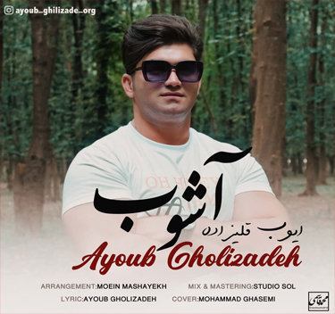 ایوب قلی زاده آشوب